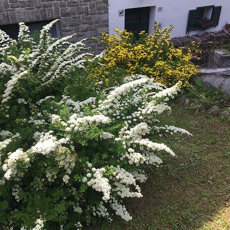 Villa Lucia Appartamento Fiore Падола Екстер'єр фото