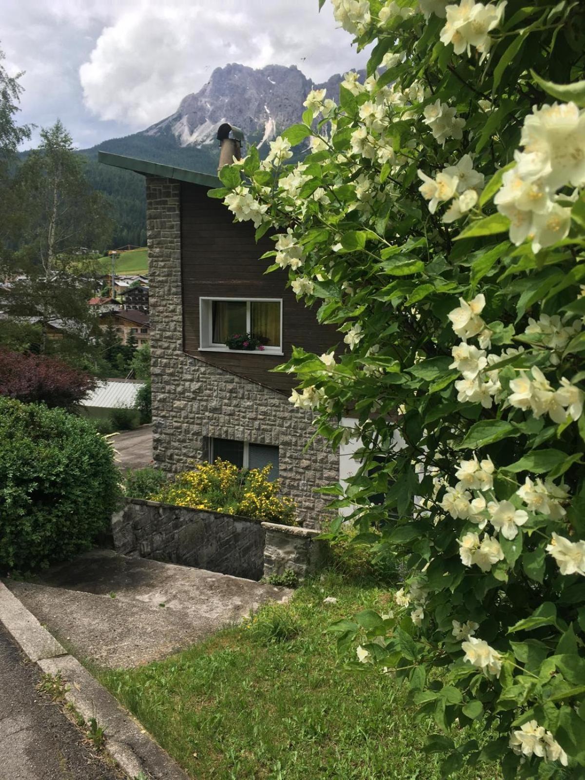 Villa Lucia Appartamento Fiore Падола Екстер'єр фото