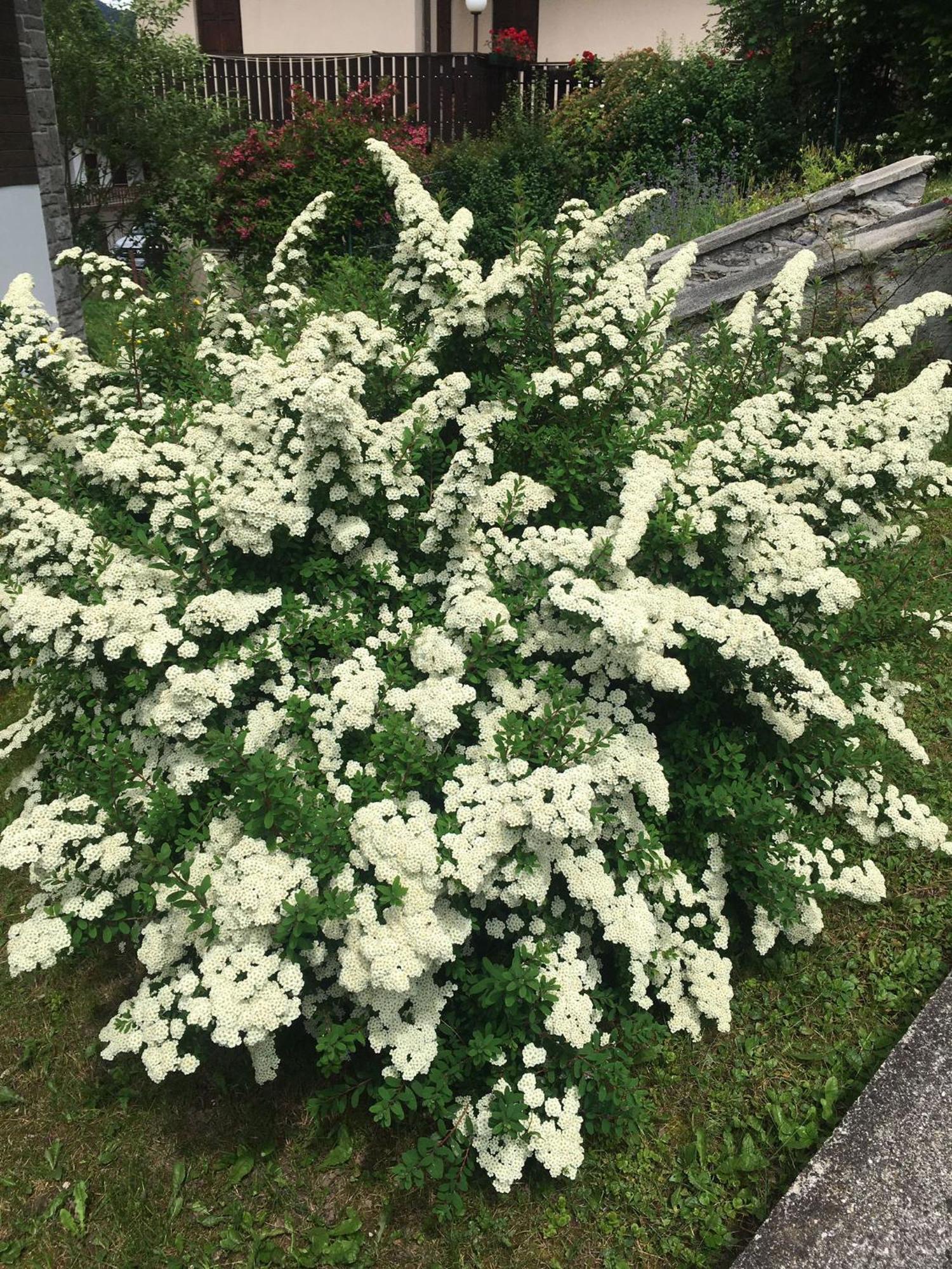 Villa Lucia Appartamento Fiore Падола Екстер'єр фото